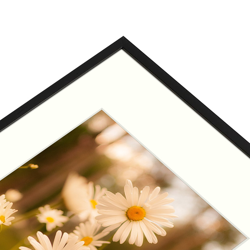 Cadre photo Drennon, images de présentation, cadre en métal pour fixation murale, Noir, 16 po x 20 po emmêlé à 11 po x 14 po