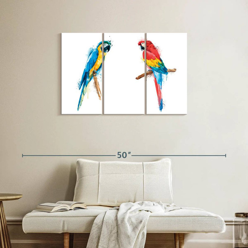 Macaw Duo Color Splash, H 24 po x l 38 po