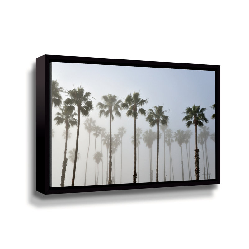 «Andromede Foggy Palms» par Kathy Yates, reproduction sur toile, Cadre noir, H 24 po x l 36 po x P 2 po