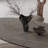 Handan Oval Solid Wood Base Dining Table-2020499492