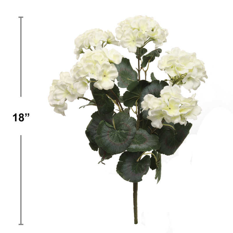 Arrangement de géranium