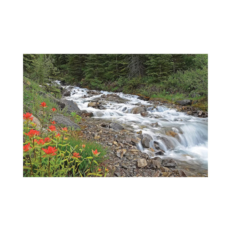 Paintbrush And Stream by Brian Wolf - Wrapped Canvas Print, 20.32cm H x 30.48cm W x 1.91cm D