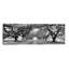 Brick Path Through Alley Of Oak Trees, Louisiana, New Orleans, USA - Wrapped Canvas Panoramic Print-10100523