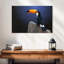 Toucan avec raisin-1667398036