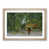 Oak Framed