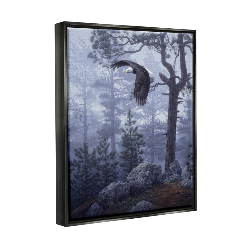 «Loon Peak® Eagle Flying Woodland Scene», art mural encadré par Daniel Smith, Cadre flottant noir de jais