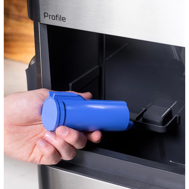 GE Profile Scale Inhibiting Filter