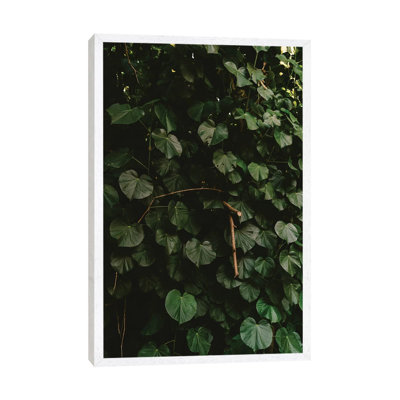 Tropical Hawaii III by Bethany Young - Print on Canvas