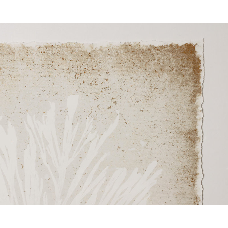 Aquatic Flora I Print