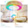 Woven RGB Fandelier with Light，Flush Mount  Ceiling Fan with Light Kit and Remote Control/APP