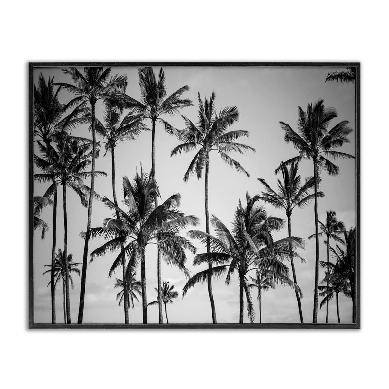 «Palm Trees Skyline» par Design Fabrikken, reproduction de photo, H 16 po x l 20 po, Giclée encadrée noir minuit
