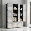 Armoire de rangement modulaire à 12 cubes - Organisateur en plastique et en métal robuste avec portes translucides, panneaux imperméables, assemblage facile pour la maison, le bureau, la chambre à coucher et le salon - couleur noire