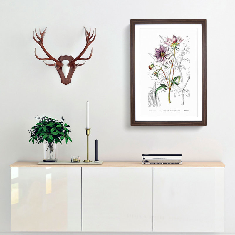 Purple Dahlia Flowers - Framed Print, 36cm H x 27cm W x 2cm D, Walnut Framed