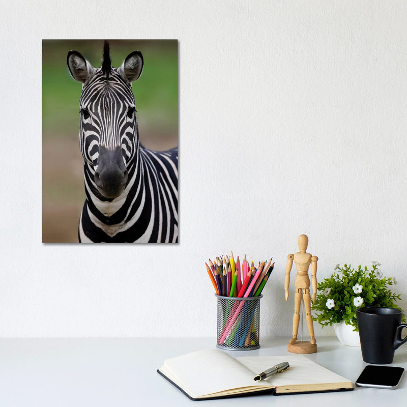 Zebra III by Goran Anastasovski - Wrapped Canvas Print, 20.32 cm H x 30.48 cm W