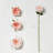 Silk Rose Arrangement-2071870219