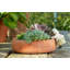 Ioannes UV Resistant Stone Garden Statue