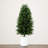 3ft. UV Resistant Artificial Cedar Tree in Decorative White Planter (Indoor/Outdoor)