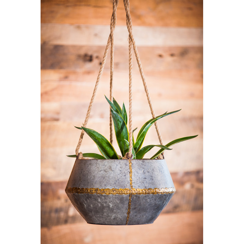 Vanwingerden Metal Hanging Planter