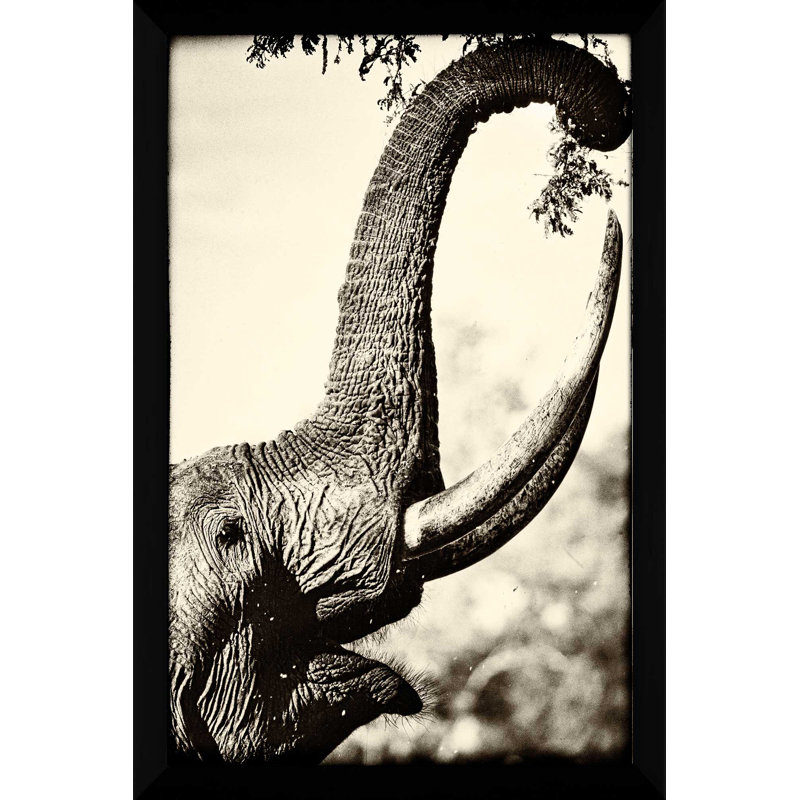 «Reaching High», reproduction de photo, H 27,5 po x l 21,5 po x P 0,75 po, Cadre noir