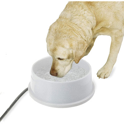 Bol