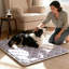 Lit de caisse pour chien ultra-doux - Tapis lavable et antidérapant, de couleur foncée pour la durabilité et le nettoyage facile