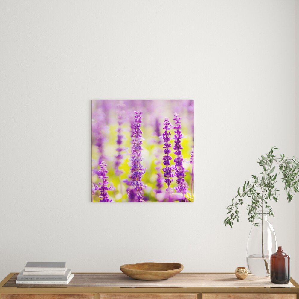 Leinwandbild Schöne violette Lavendelblüten