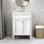 24" Bathroom Vanity with Ceramic Sink, 2 Soft-Close Doors, Tip-Out Drawer, Organizers-588075542-588075541