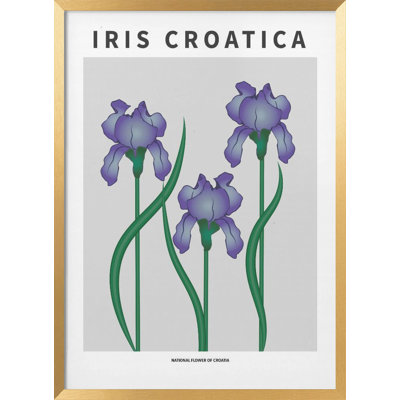 "Iris croate", art mural texturé encadré
