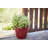 Beehive Pot Planter-91225320
