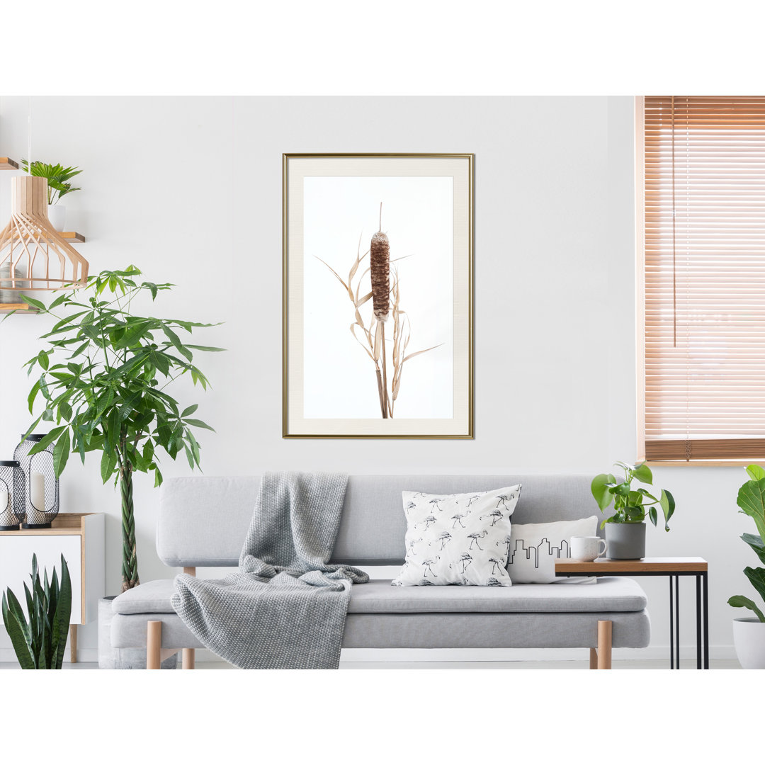 Gerahmtes Wandbild Typha