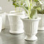 MINI CACHEPOTS MIRABELLE, ENSEMBLE DE 6-137253738