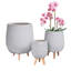 Honeycomb Style Egg Planter with Feet-57886062-57886037
