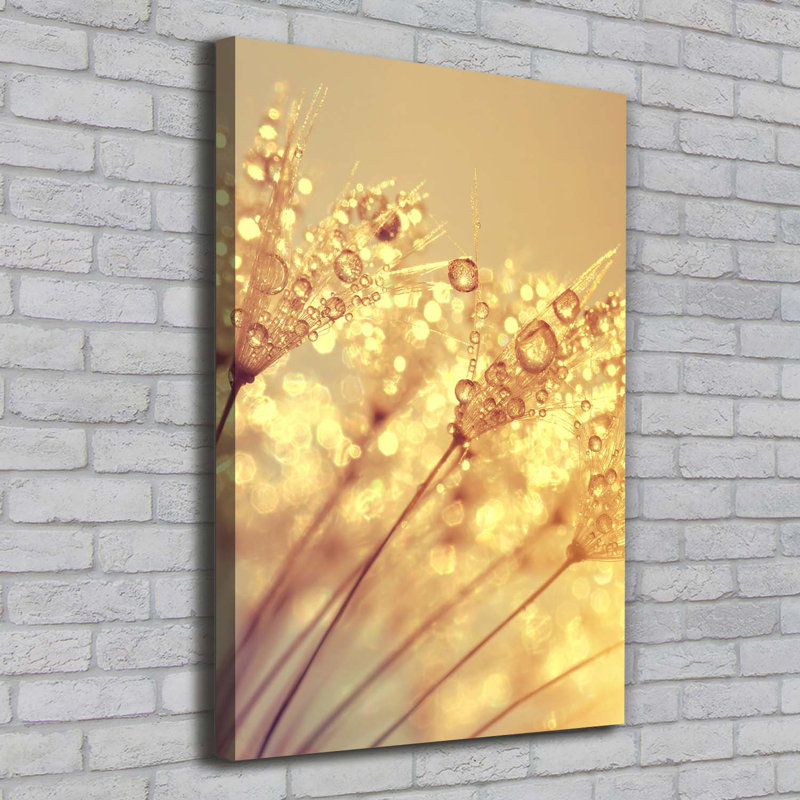 Dandelion Seeds - Wrapped Canvas Print