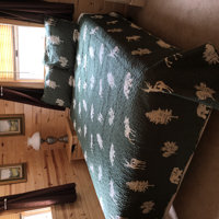 Millwood Pines Hamon Forest Green Cotton Blend Reversible Quilt Set &  Reviews - Wayfair Canada