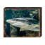 Bloc de bois shark Zindanlari-482594384