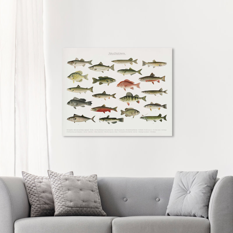 " American Fish " Painting Print, Wrapped Canvas, 45" H x 36" W
