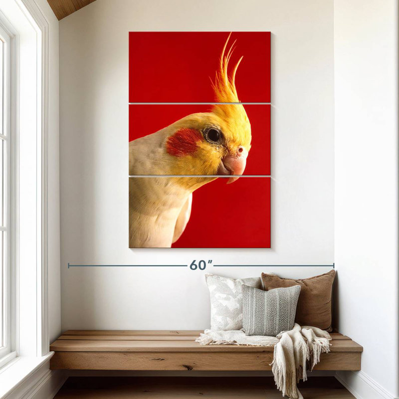 Brampt Lutino Cockatiel, 50" H x 32" W