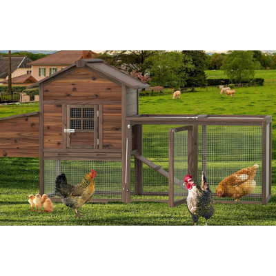 Poulailler avec basse-cour, grande cage à poulets pour l'extérieur avec nichoir, 80 pouces pour poulets, lapins, cobayes