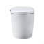 Combiné de bidet de toilette intelligent avec buse autonettoyante, siège chauffant, veilleuse, commande à bouton, chasse d'eau en cas de panne de courant, fermeture en douceur, chasse automatique, avec télécommande