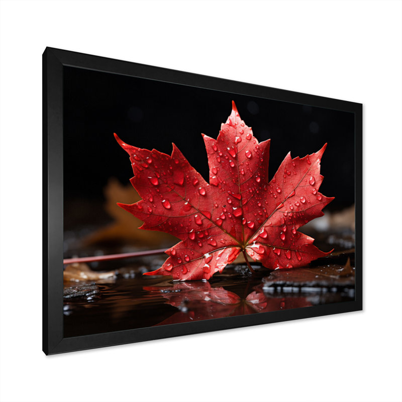 Canada Canada Pride III, H 34 po x l 44 po x P 1,5 po, Noir