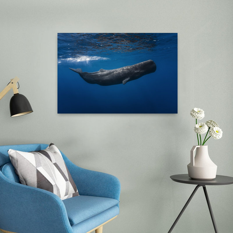 Art contemporain contemporain, baleine, paysage, nature, H 16 po x l 24 po