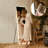Dimmable LED Full Length Mirror with Aluminum Alloy Frame -862445909