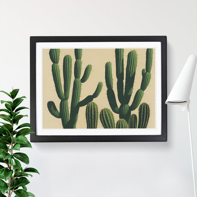 A Contemporary Cactus - Framed Print, Black, 46cm H x 64cm W x 2cm D
