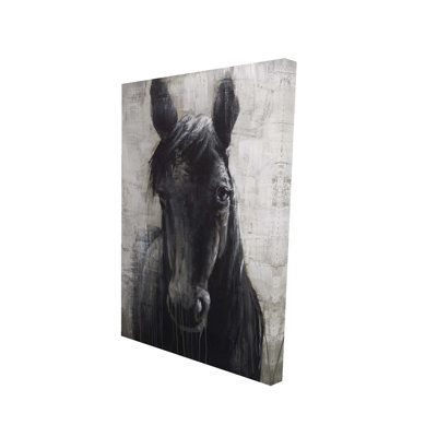 Black Horse Canvas - Farm Animals Home Decor
