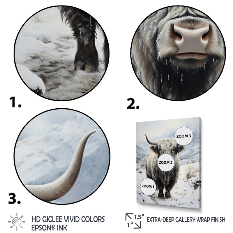 Portrait de yaks gris et blanc II, reproduction sur toile, Blanc, H 32 po x l 24 po x P 1 po