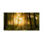 Art mural sur toile tendue - Art mural Leif Londal «Light In The Forest Shining» pour le salon, la chambre à coucher ou le bureau - 24 x 47-30314357