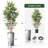 Artificial Tree in Contemporary Geometric Pattern Planter Fake Bamboo Silk Tree Plant Pot Plus Tree-103592544