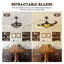 Ventilateur de plafond 48 "en verre coloré avec lumières DEL et télécommande