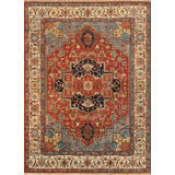 Oriental Area Rug