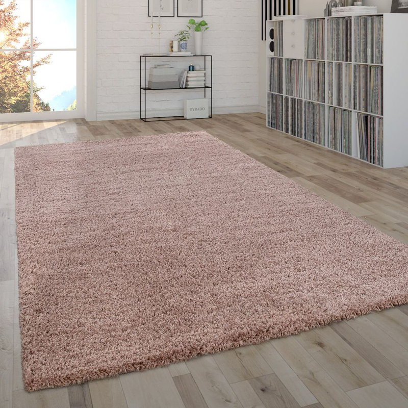 Jordynn Solid Colour Shag Area Rug, Rectangle 160 x 220cm